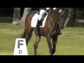 A Girl Her Horse