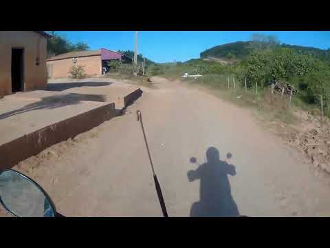 CHICO ALVINO MUNICÍPIO DE SÃO ROBERTO MA.