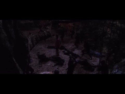 SHINOBI - Gennosuke Kougas Fighting Style