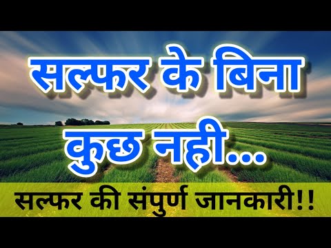 sulfer/powdered sulfer/sulfer for plants/soil conditioner