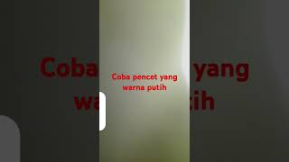 Download lagu 11 Juni 2025 mp3
