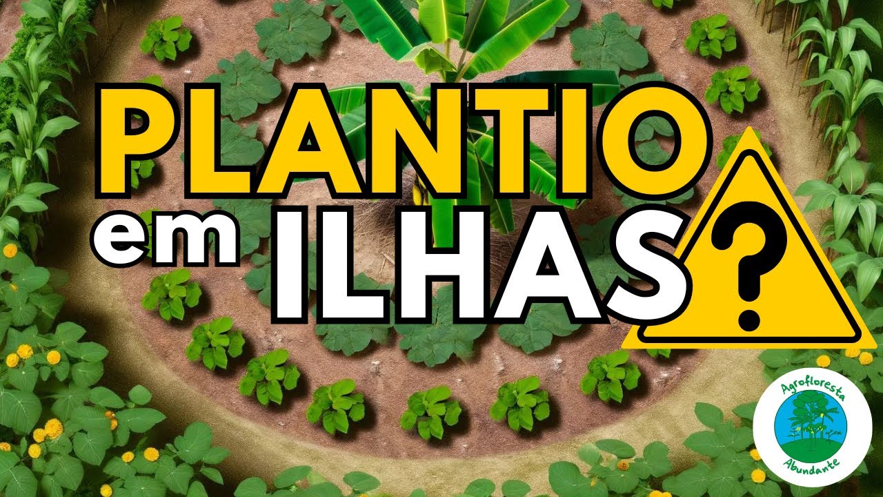 Plantio de Agrofloresta em ilhas de abundância