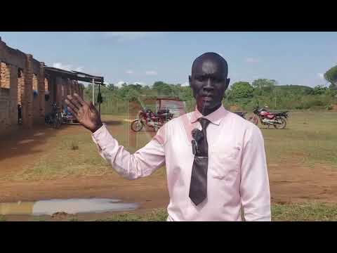 Build Four Classrooms for 220 Children in Uganda