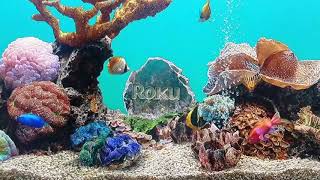 Aquarium SCREENSAVER fullscreen- ROKU TV