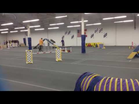 Enda's First OA leg, 1st place