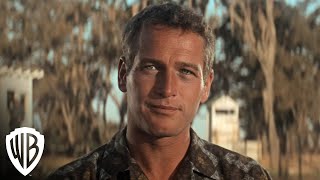 cool hand luke Movie