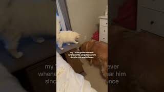 Download lagu @kayleehubly: poor baby #cat  #catlover #kitty mp3