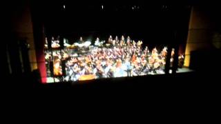 Alexandre Desplat - Harry Potter and the Deathly Hallows Pt. 2 - Live in Sao Paulo HQ Audio