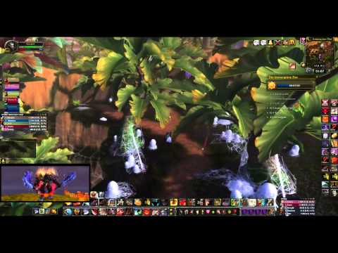 CM Gold Immergrüne Flor