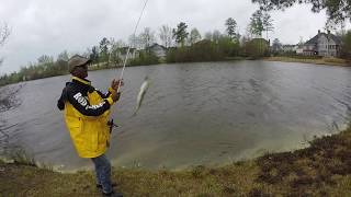 Day In The Life - Academy Trip & Big Bass Catches W | Bryan Lee Bass