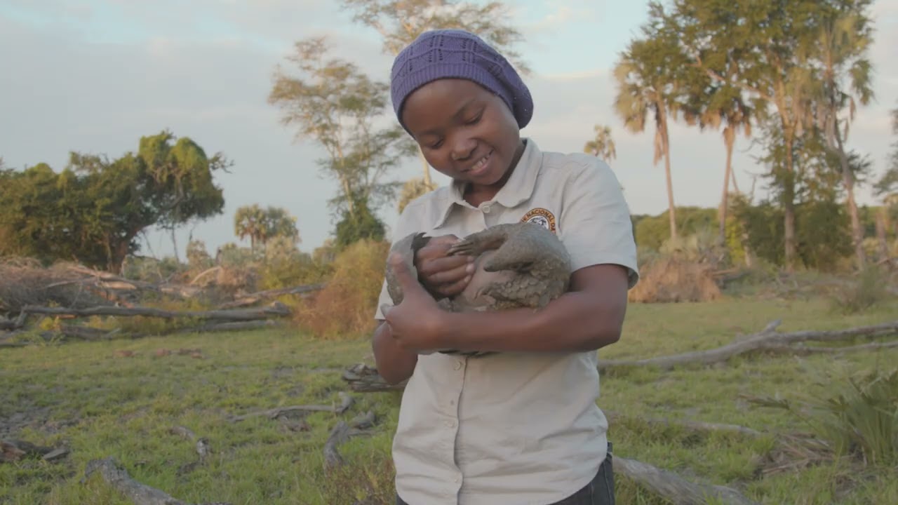 Gorongosa National Park, Mozambique: Inside the fight to save precious pangolins