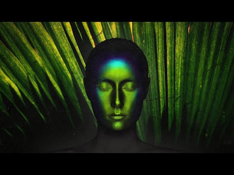 Perfect DUB MIX vol. 3 • High Quality CHILL Music • Special Coffeeshop Selection [Seven Beats Music]