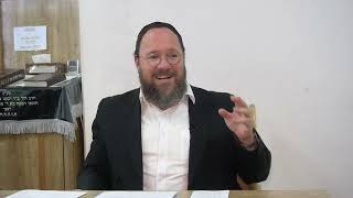 הלכות ערב פסח שחל בשבת - הרב שלמה ליפשיץ