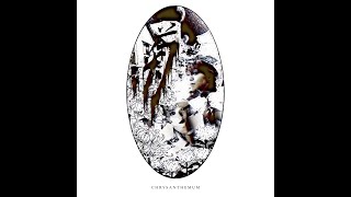 Download lagu Chrysanthemum mp3 Download lagu Chrysanthemum mp3