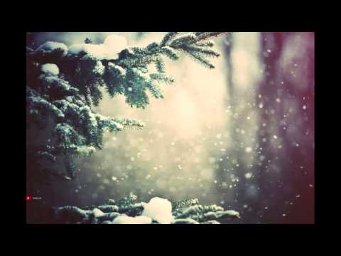 Theme of Beauty (Shnabubula and Gabe terracciano)