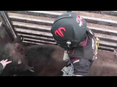 Mini Bull Riding Clinic, 2012 - Day 1