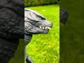 Godzilla X Kong The New Empire Godzilla Kong Godzillavskong GodzillaXKong