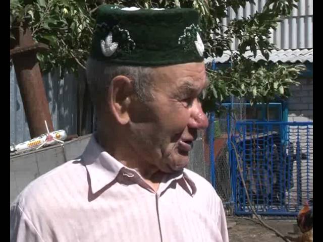 В объективе камеры – лиса. 