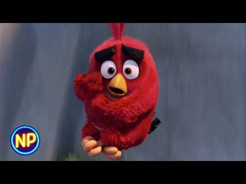 Opening Scene | The Angry Birds Movie | Now Playing