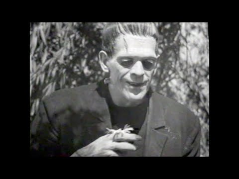 Universal Studios Home Video Classic Monsters Collection Trailer (1999)