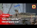Bredase bomen worden tafel of kaasplankje | Omroep Brabant