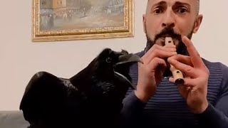 Man Plays Flute While Raven Sings Along