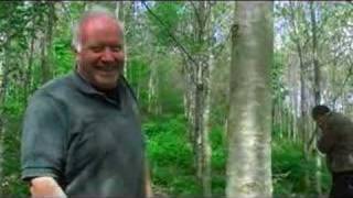 preview picture of video 'Terry McGrogan ecobuilder talks about 'local project''