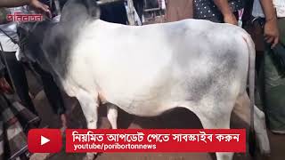 ভালো গরু ও সুস্থ গরু চেনার উপায়