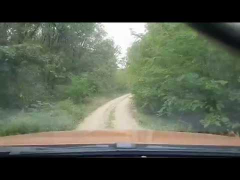 Ford Ranger Off-Road. Traseu Lipova-Sistarovat-Cuvesdia-Brestovat-Hodos-Cosarii-Sistarovat-Lipova.
