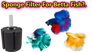 Comment Reply.. Can we use sponge filter for betta fish? do it create stress?. / Fish Aquarium Tamil