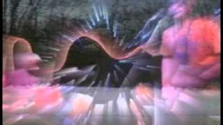 Circle Of Buzzards / Dead