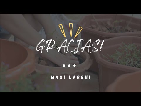 Maxi Larghi - GRACIAS - Video Lyric ( Musica Catolica )