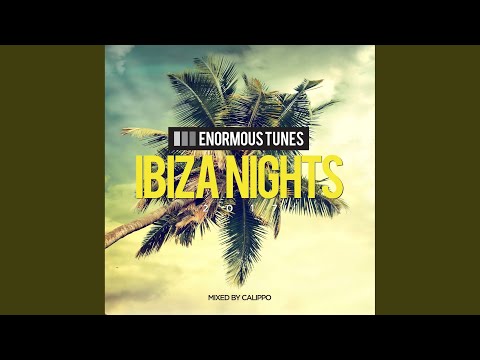 Ibiza Nights - Beach Mix (Continuous DJ-Mix by Calippo)