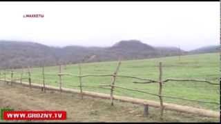 Благодатная земля Чечни: на 600 гектарах земли идут посевные работы.