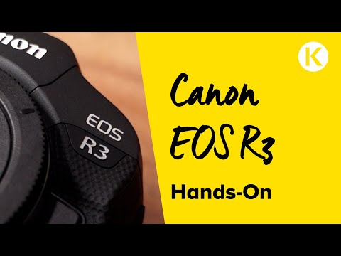 Hands-On Canon EOS R3 - Sportfotografie neu erfunden | Foto Koch #canon #eosr3