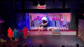 Finale (Don&#39;t Feed the Plants) - LITTLE SHOP OF HORRORS