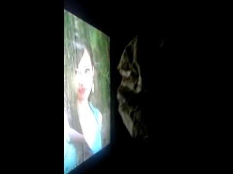 Troll caught on camera in living room watching tv