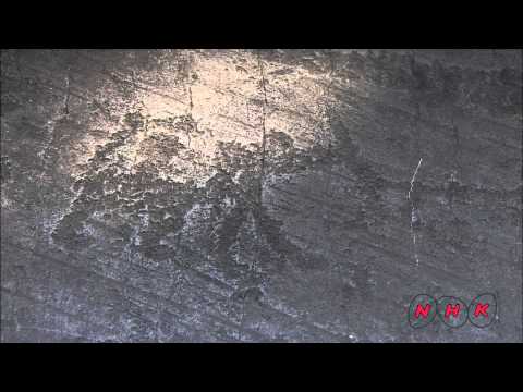 Rock Drawings in Valcamonica (UNESCO/NHK