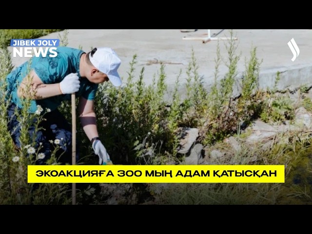 Туристік аймақтар ретке келтіріліп жатыр