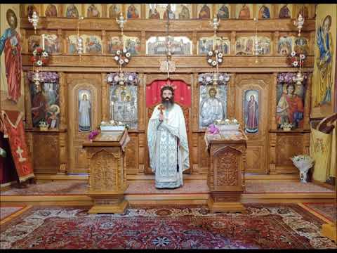 20211212 NICOLAE BALASOIU –  PILDA CELOR POFTITI LA CINA