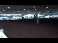 Flicka BG 4 20 13