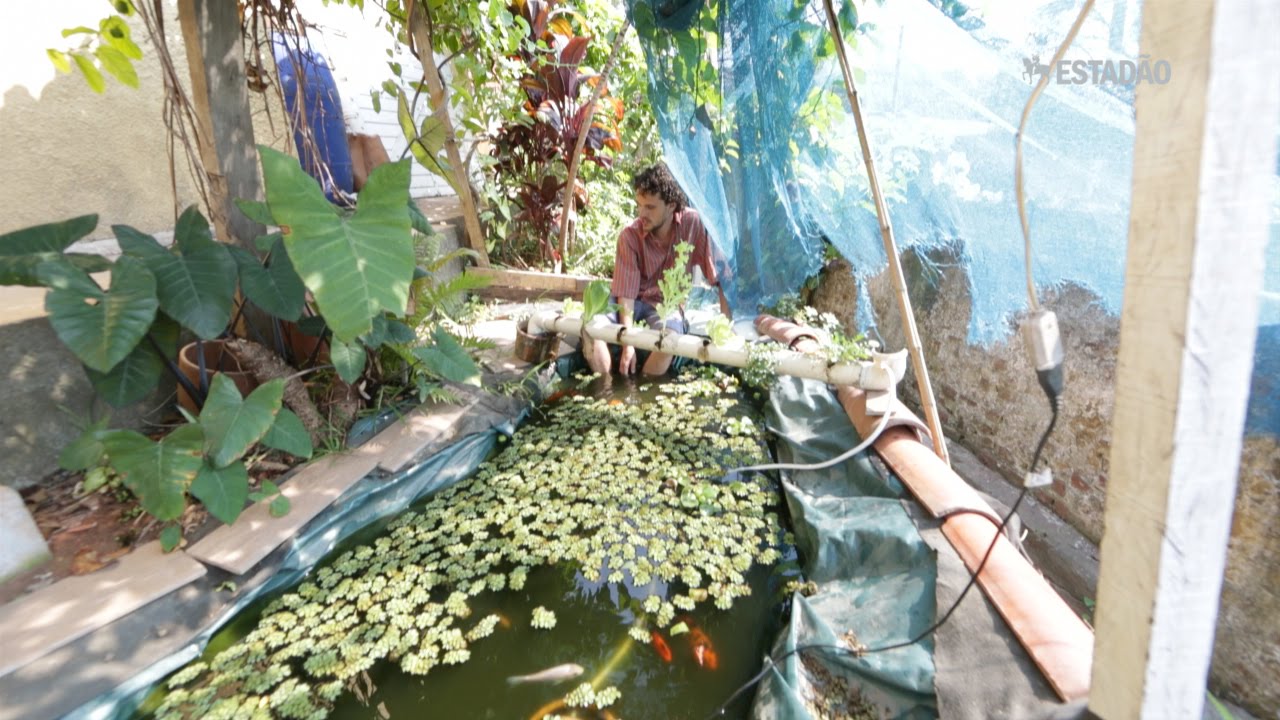 Paulistano transforma água usada na louça em lago com peixes
