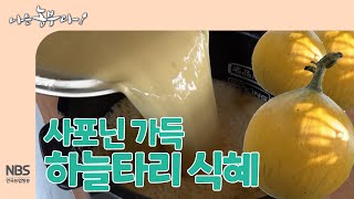 [나는농부다 272회] 사포닌 가득 하늘타리 식혜