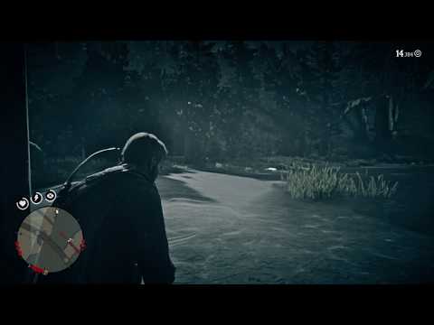 Red Dead Redemption 2 - Meisterjäger 7/8 #255