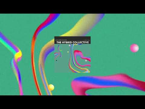 The Hybrid Collective - Acid Room Sessions, Day One (Full EP) 🧫