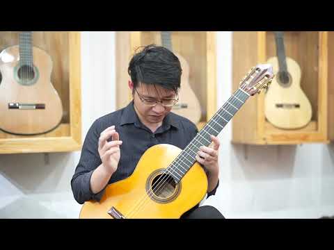 Guitar sounds Ignacio Fleta 1969, Daniel Friedrich 1972, Hermann Hauser 2