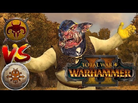 Beastmen vs Norsca | WILD BEAST BATTLE - Total War Warhammer 2