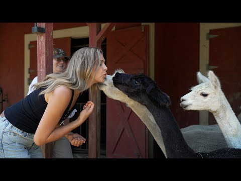 Maine Life - S10 E27 - The Boothbay Region