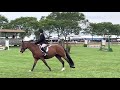 Evelyn Hanley Riding FaceTime 2 6 Large Children Pony Hunters Hampton Classic 2021