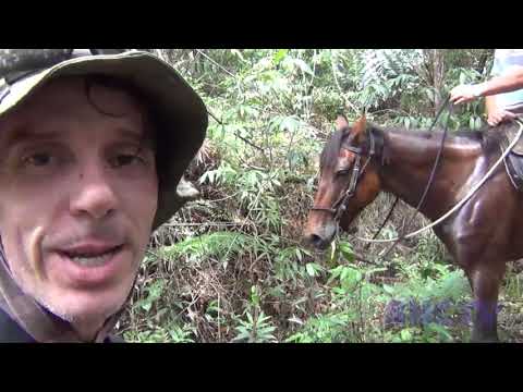 No Coração da Selva: Trailer